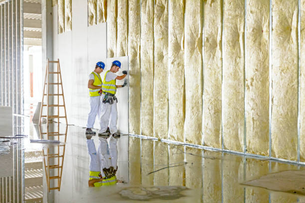 Best Commercial Insulation Contractor  in White Hall, AR